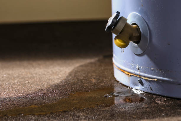 Best Local water damage restoration  in Lawton, MI