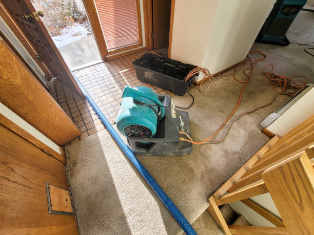 Best Commercial water damage restoration  in Lawton, MI