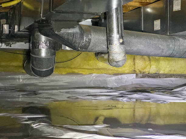 Best Basement water damage restoration  in Lawton, MI